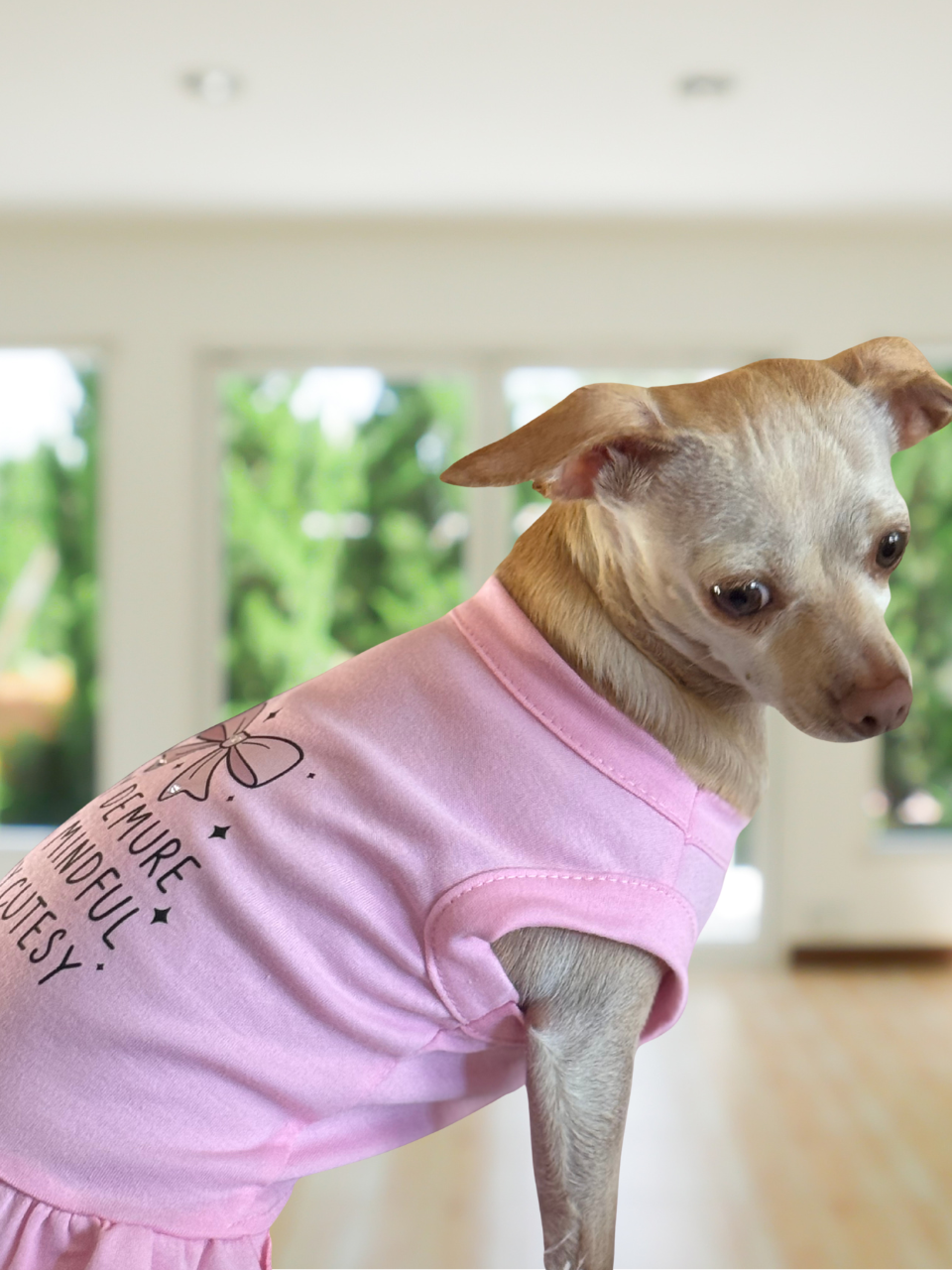 Very Demure, Very Mindful, Very Cute” Pink Dog Dress