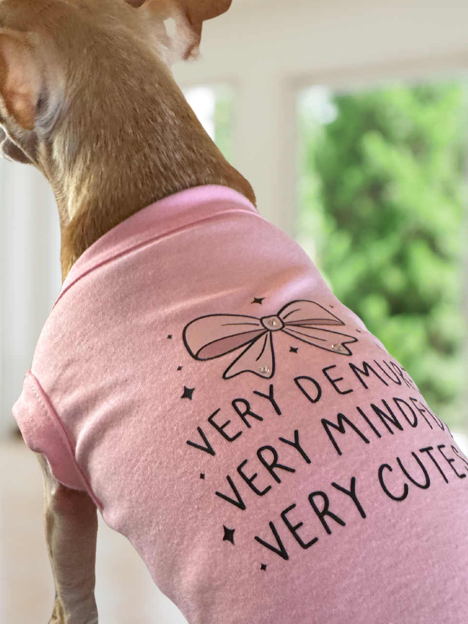 Very Demure, Very Mindful, Very Cute” Pink Dog Dress