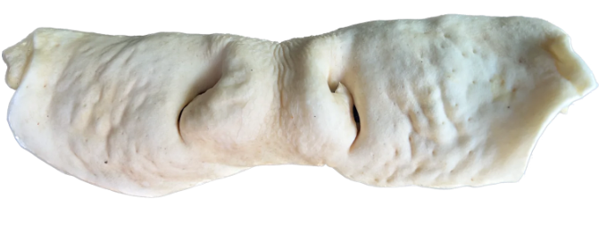 Cow Snout