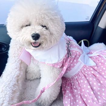 Polka Dot and Lace Dog Dress Set with Leash - Pink