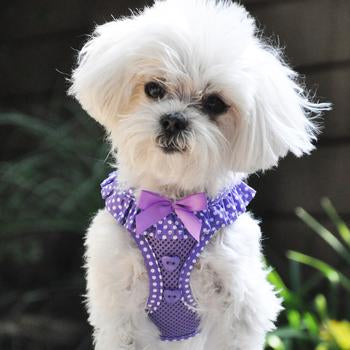 Paisley Purple Polka Dot - American River Choke Free Dog Harness